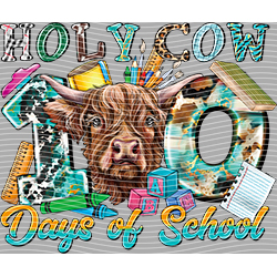 Cow-NIU 2555
